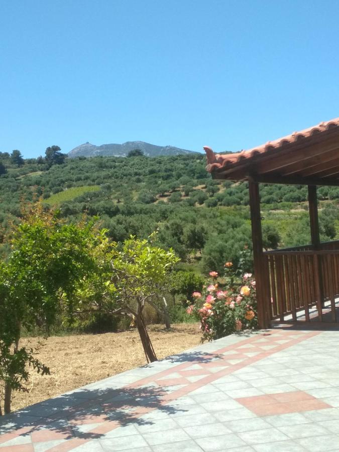 Eden Garden Villa Near Knossos Skalanion 외부 사진